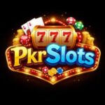 PKRSlots Game