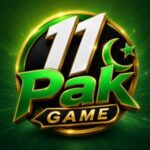 11Pak Game