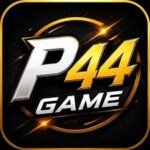 P44 Game